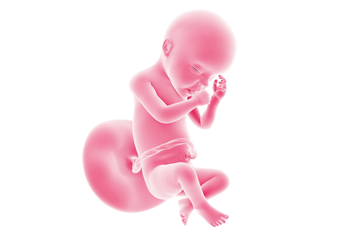 Varicoza inghinală în timpul sarcinii: simptome și tratament - Cum să tratezi - August